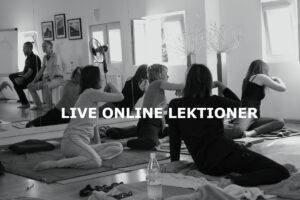 Live online lektion