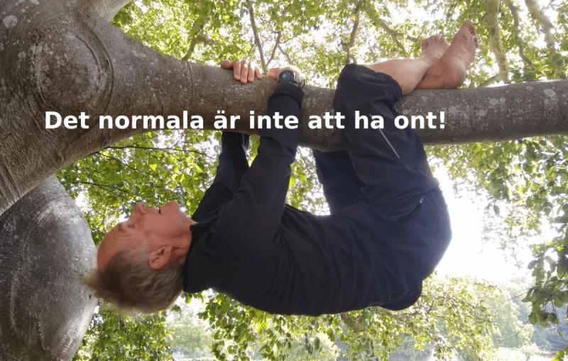 Självmedvetenhet och hälsa med Feldenkrais! Min Historia